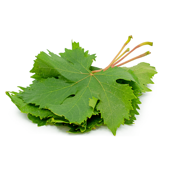 Fresh Grape Leaves, 0.5lb