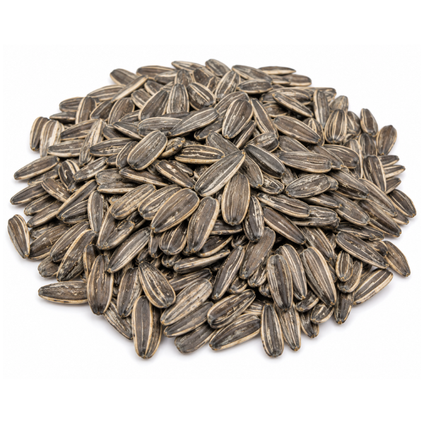 V-Sunflower Seeds Salted, 1LB