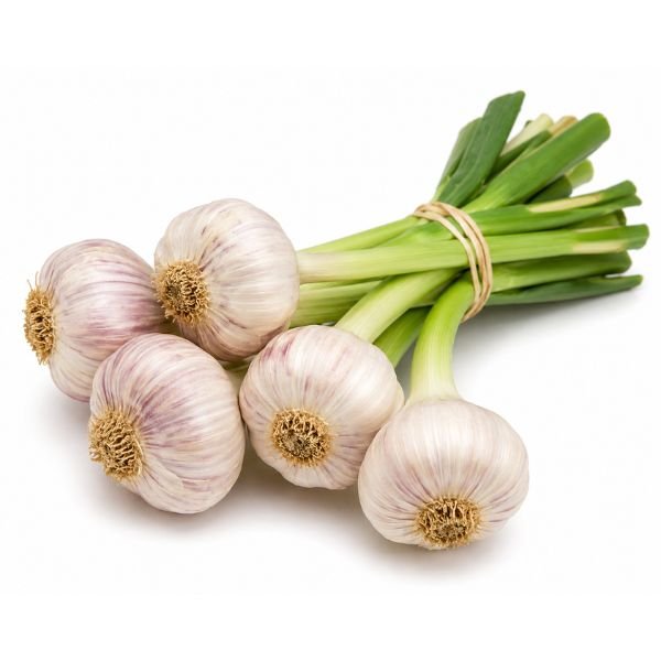 Fresh Garlic (Bunch)