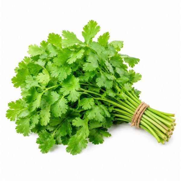 Cilantro (Bunch)