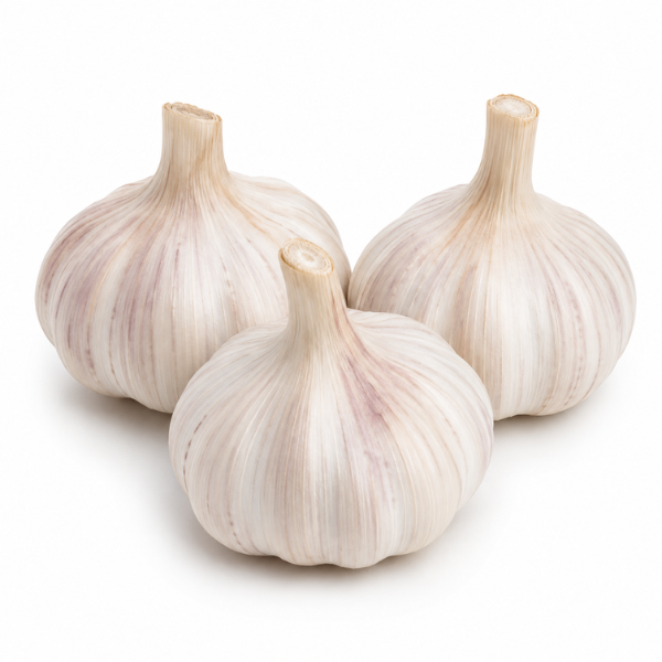 Garlic (Pack of 3)