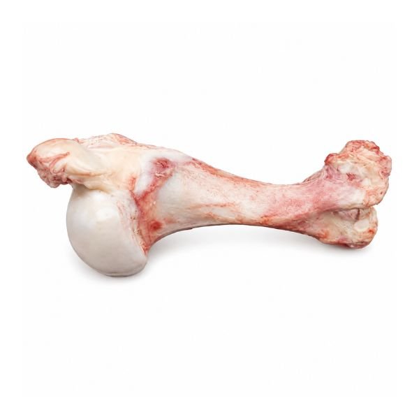 Lamb Soup Bone, 1.2lb-1.4lb