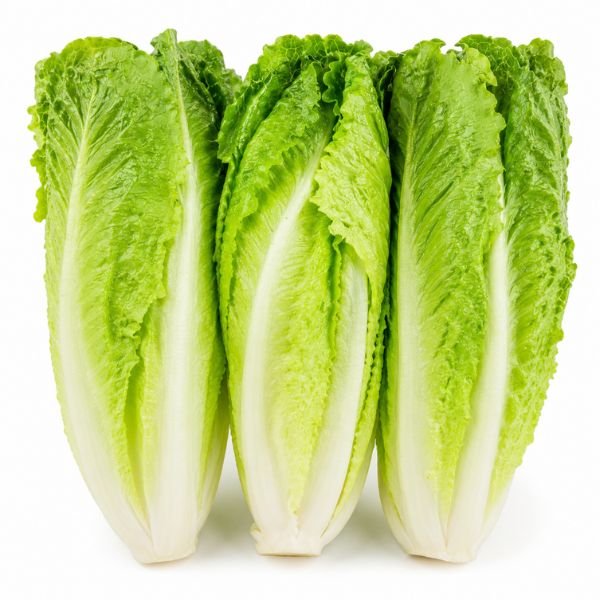 Romaine Lettuce Hearts (Pack of 3)