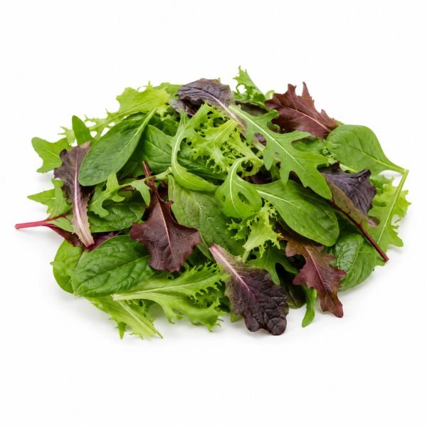 Organic Spring Mix (Each)